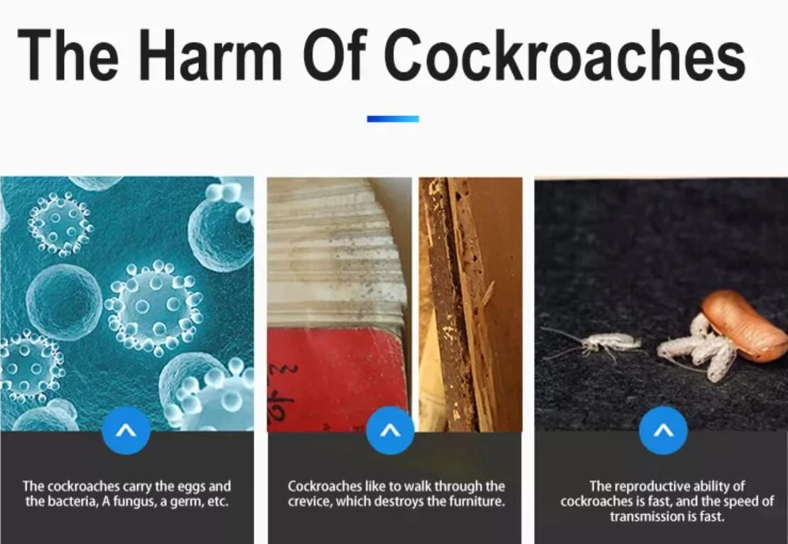 roaches harm