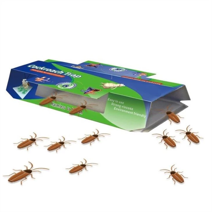 cockroaches motel trap